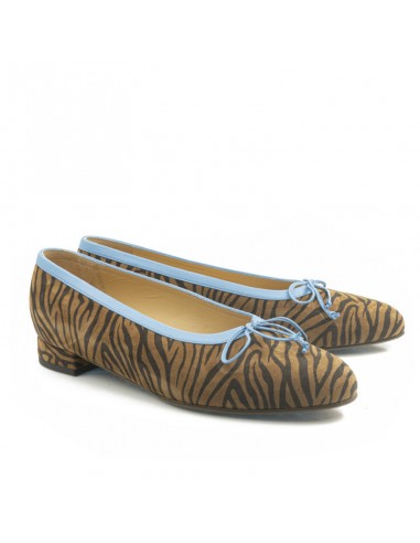 Kelly zebra & bleu en ligne