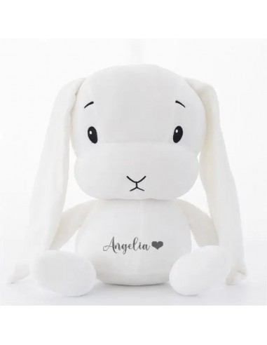 Adorable lapin doux avec de longues oreilles les ctes